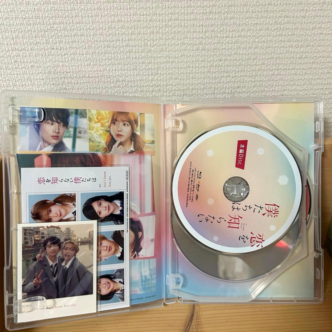映画 恋を知らない僕たちは DVD 豪華版