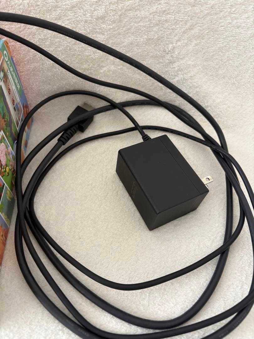 ニンテンドー　スイッチ　本体　どうぶつの森　特別デザインセット