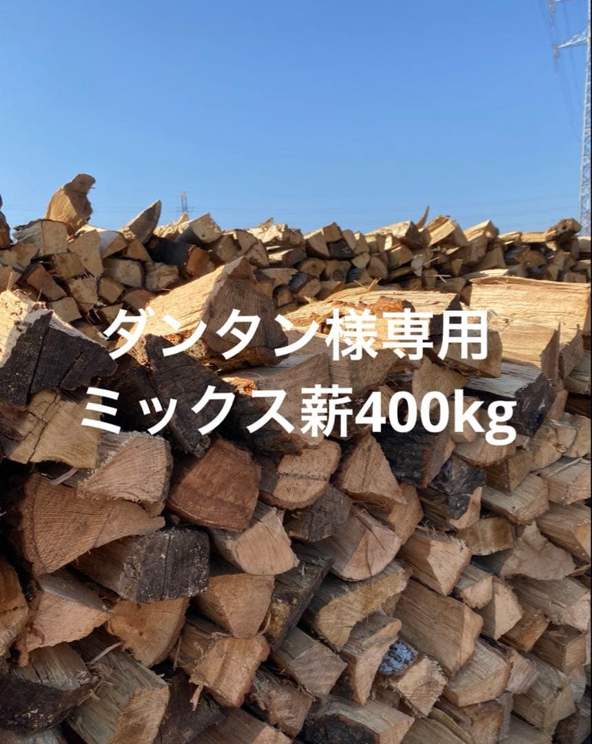 乾燥済み薪