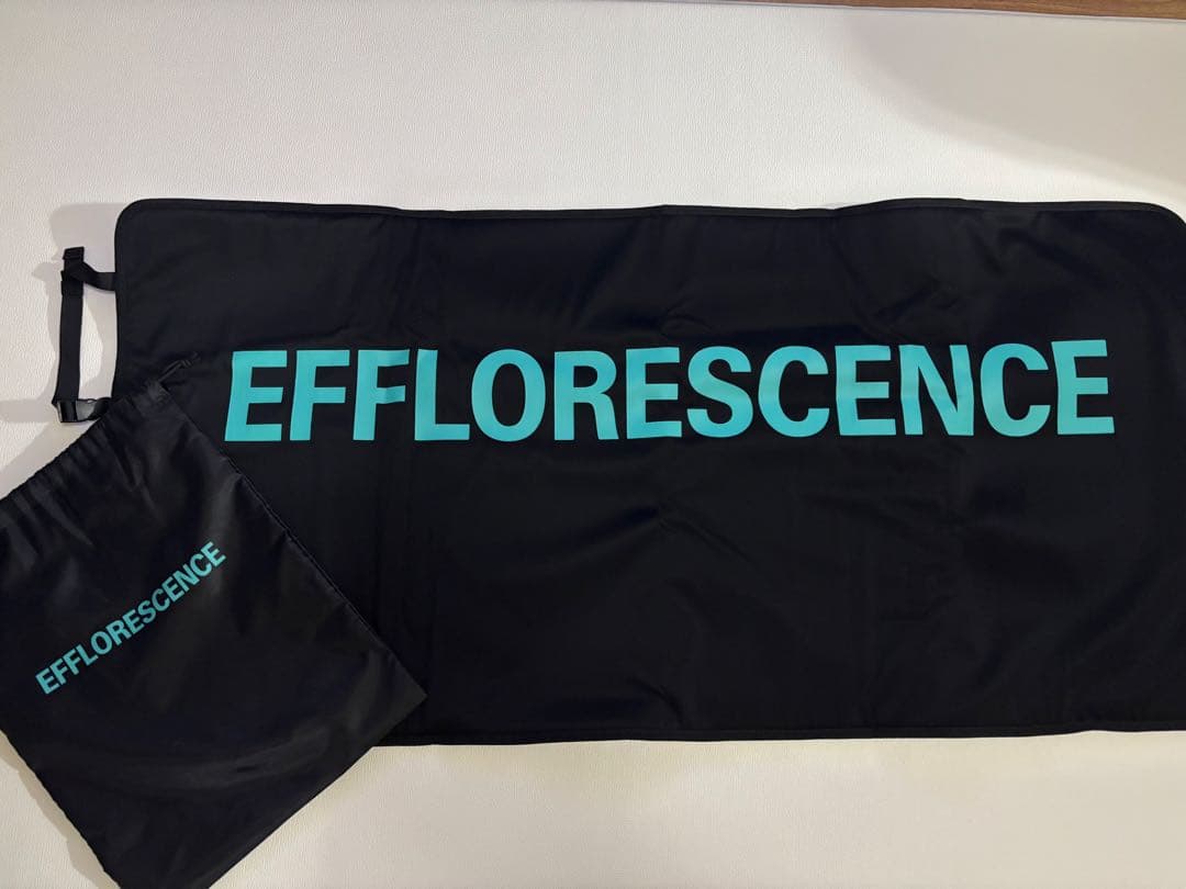 非売品EFFLORESCENCE カートシートカバー