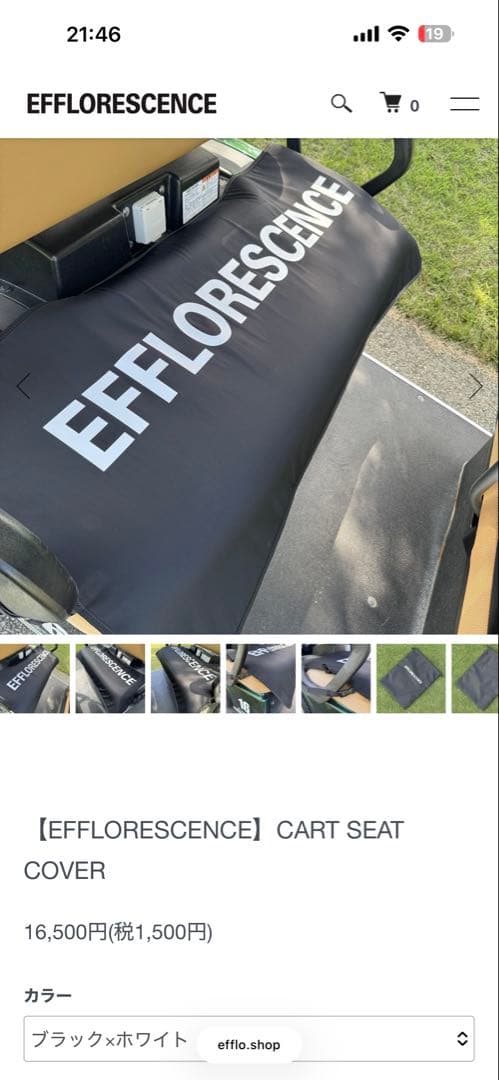 非売品EFFLORESCENCE カートシートカバー
