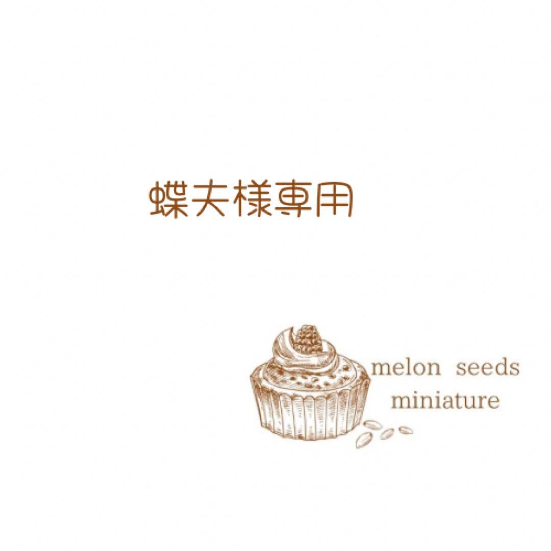 蝶夫