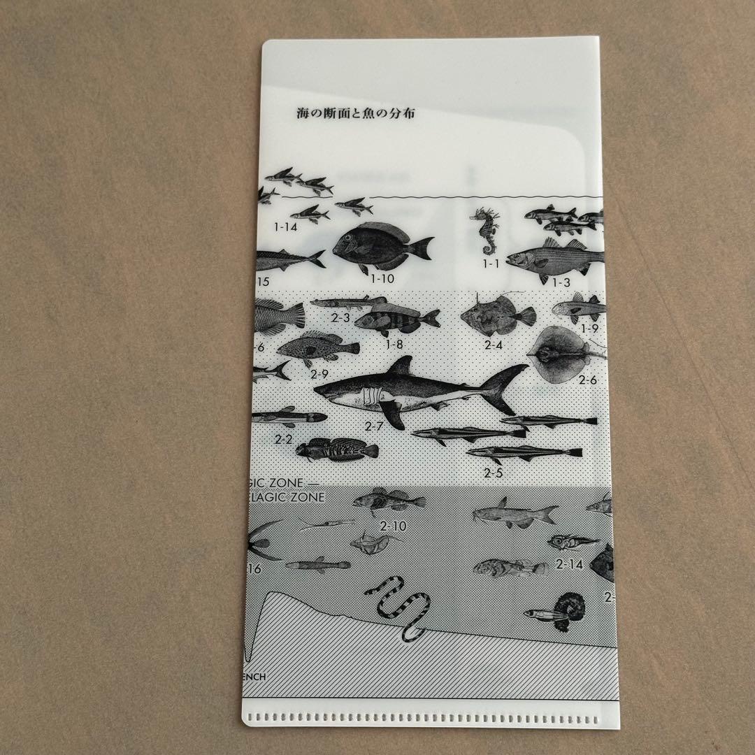 サカナクション 魚図鑑 (初回生産限定盤[2CD+魚図鑑+DVD])