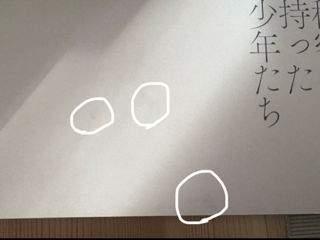 秘密を持った少年たち　DVD 特製ブックレット付き　龍宮城