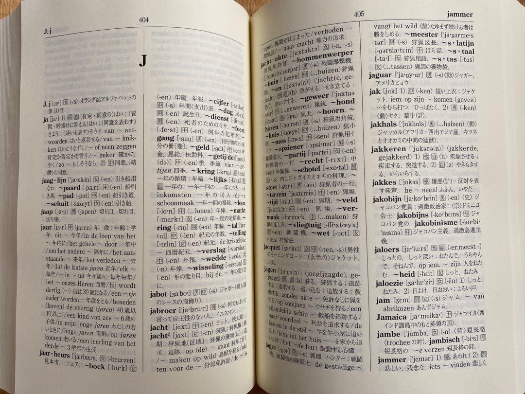 オランダ語辞典 大学書林