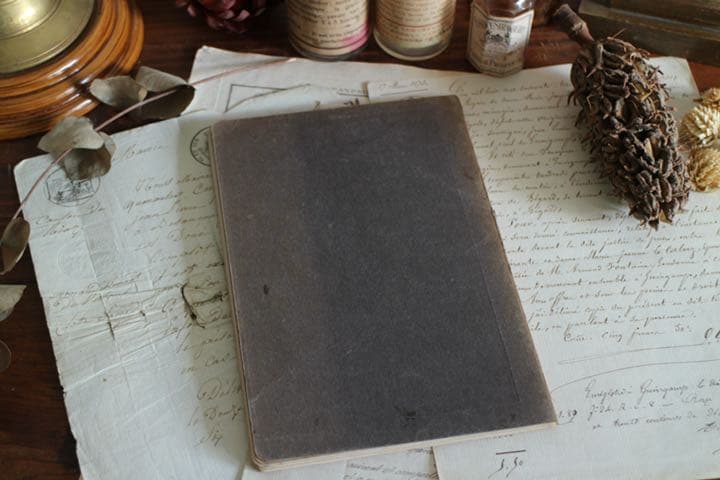 T-51  レトロ　古いきのこ図鑑　本　洋書　ディスプレイ　アンティーク