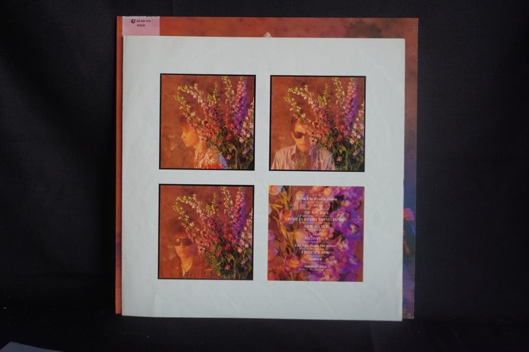 【LP】ストリート・スライダーズ アルバム5作品セット アナログレコード