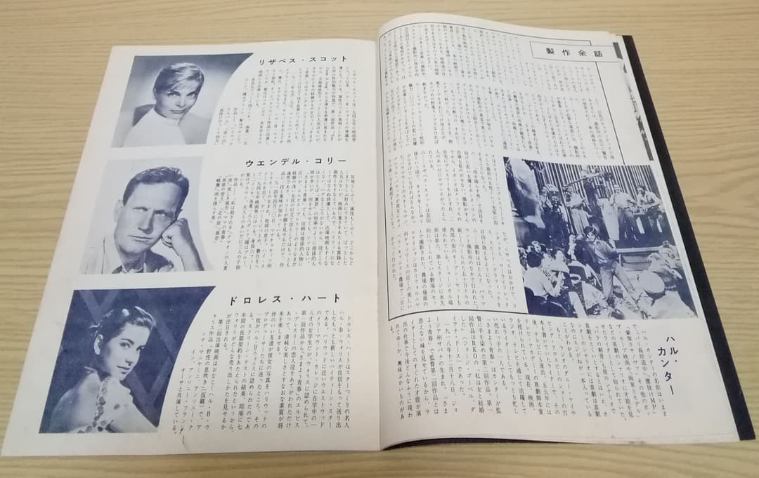 (レア)映画パンフレット　「さまよう青春」　エルヴィス・プレスリー