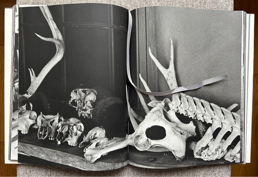 洋書 Bruce Weber  A House Is Not A 