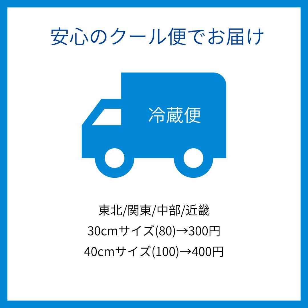 さこ　40cm×30本　ユーカリ10 クール便 ラッピング
