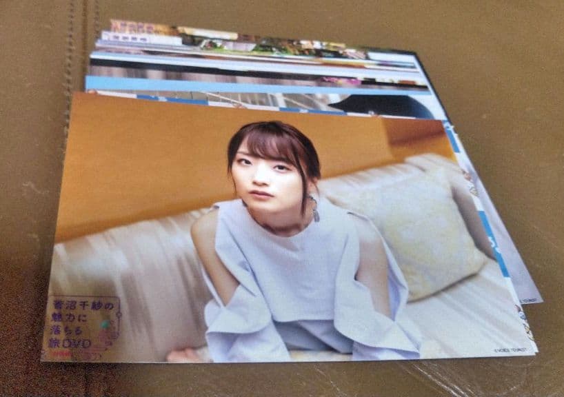 DVD◎菅沼千紗の魅力に落ちる旅DVD~沖縄編~　ブロマイド20枚付き