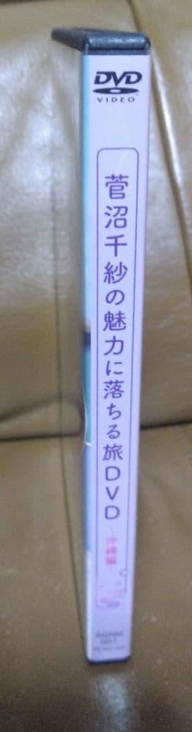 DVD◎菅沼千紗の魅力に落ちる旅DVD~沖縄編~　ブロマイド20枚付き