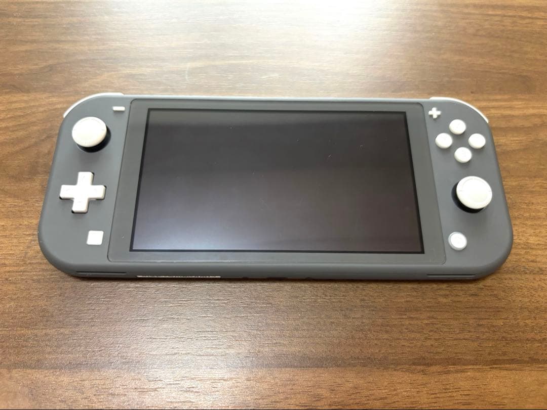 Nintendo Switch Lite グレー 本体、充電器、ケース、箱