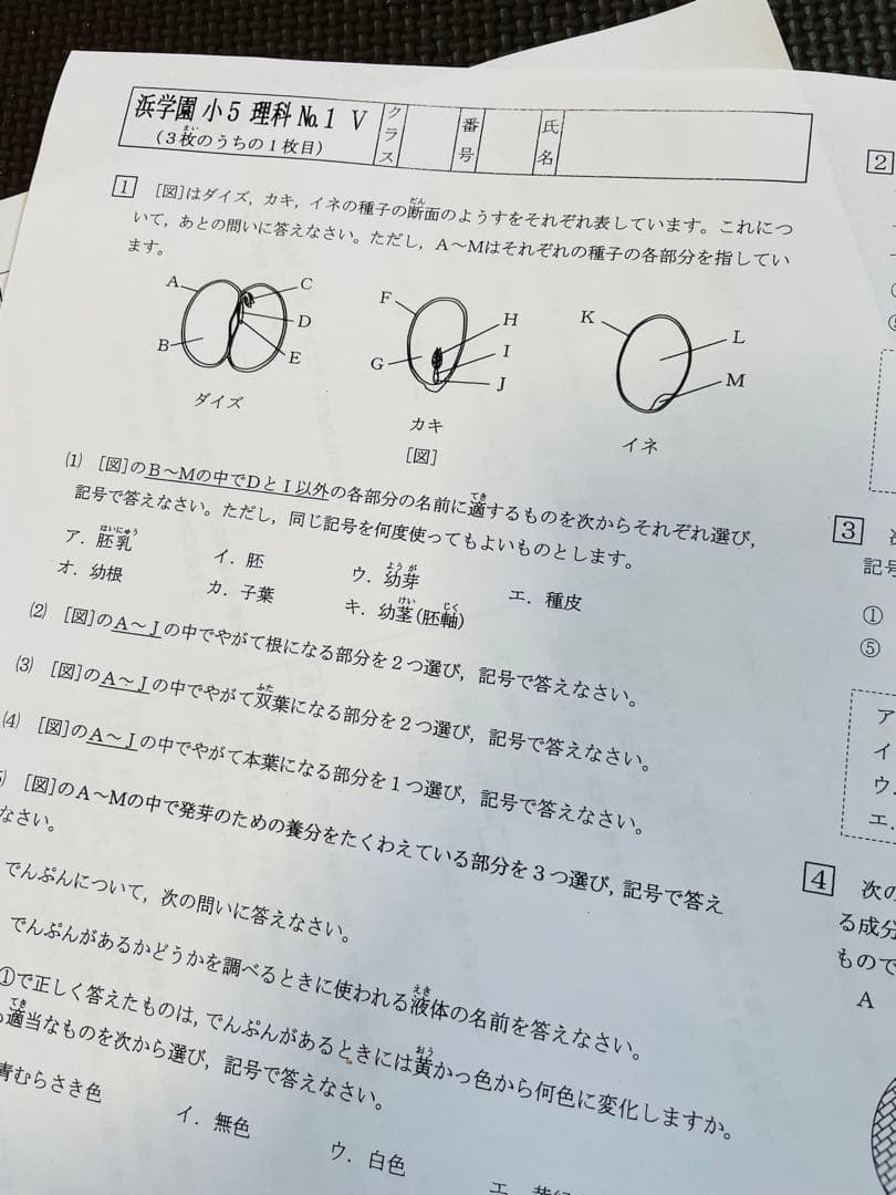 浜学園　2023年度　小5 復習テスト　Vクラス　算国理　　実力〜No.42