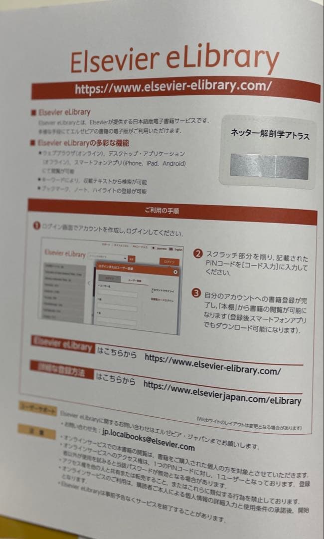 ネッター解剖学アトラス 原書 第7版