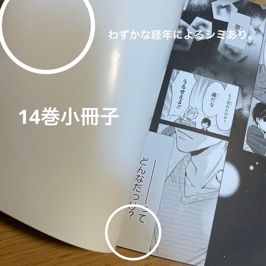 【小冊子6冊&特典付き】　SUPER LOVERS 全巻　1〜20巻　あべ美幸