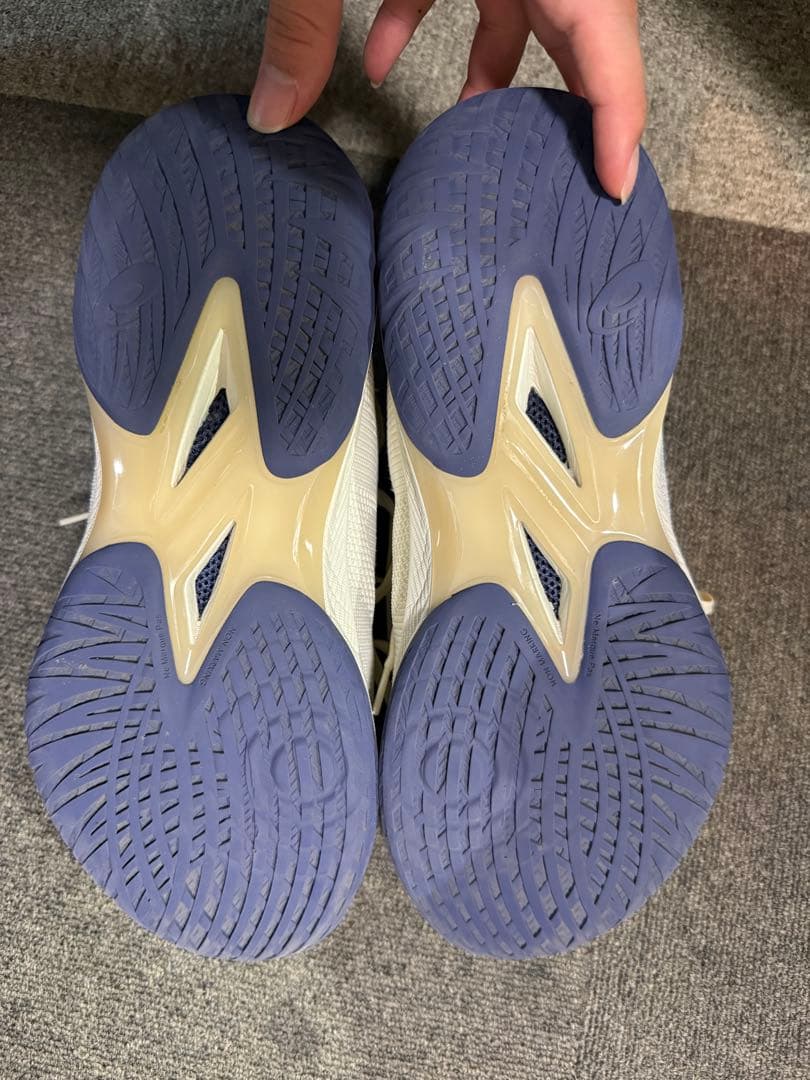 asics バスケットボールシューズ 28.5cm りんご