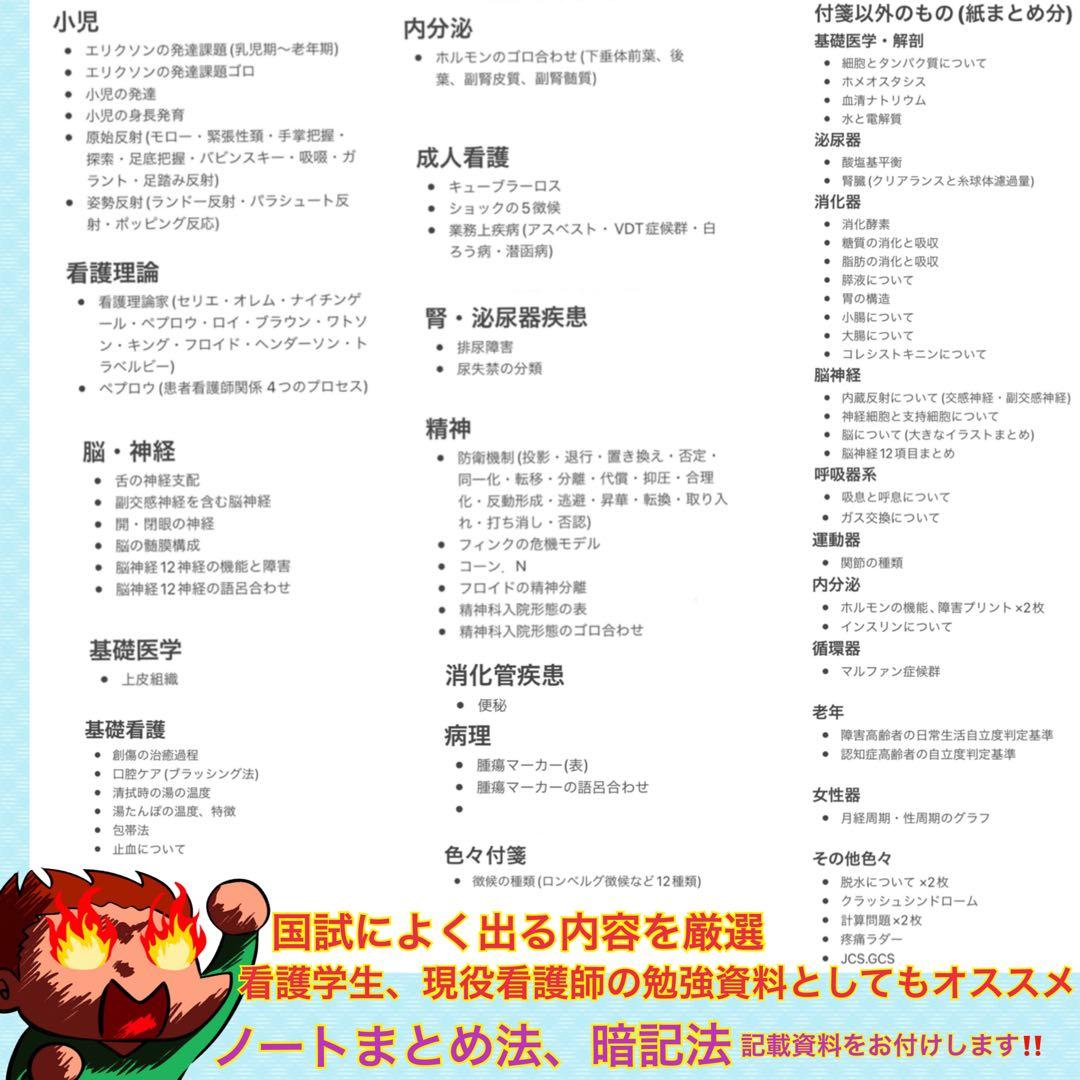 激安‼️ 看護師国家試験まとめノート 国試 付箋ノート 解剖生理学 看護学生