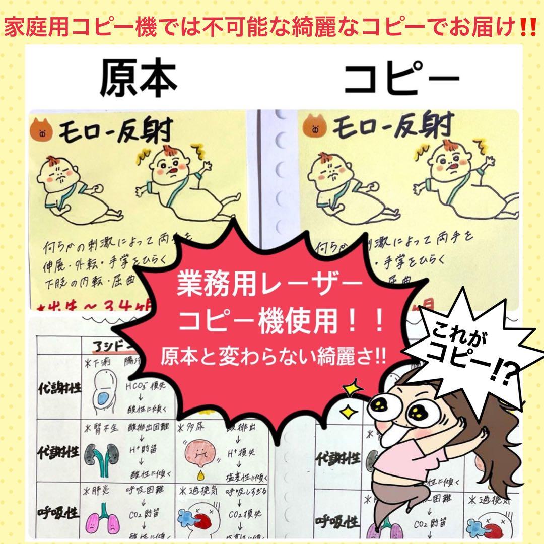 激安‼️ 看護師国家試験まとめノート 国試 付箋ノート 解剖生理学 看護学生