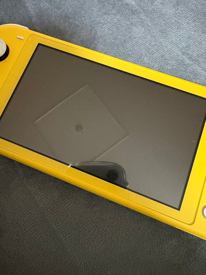 Nintendo Switch Lite 充電器・ケース・あつ森ソフト付き