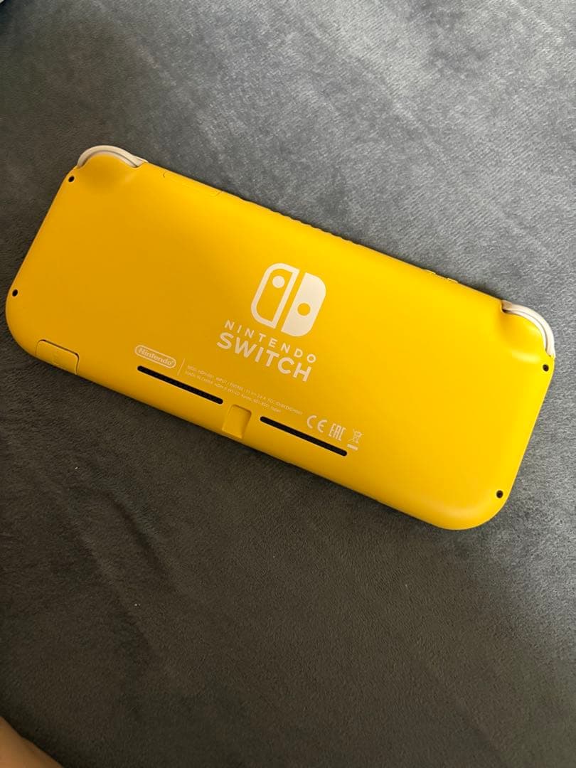 Nintendo Switch Lite 充電器・ケース・あつ森ソフト付き