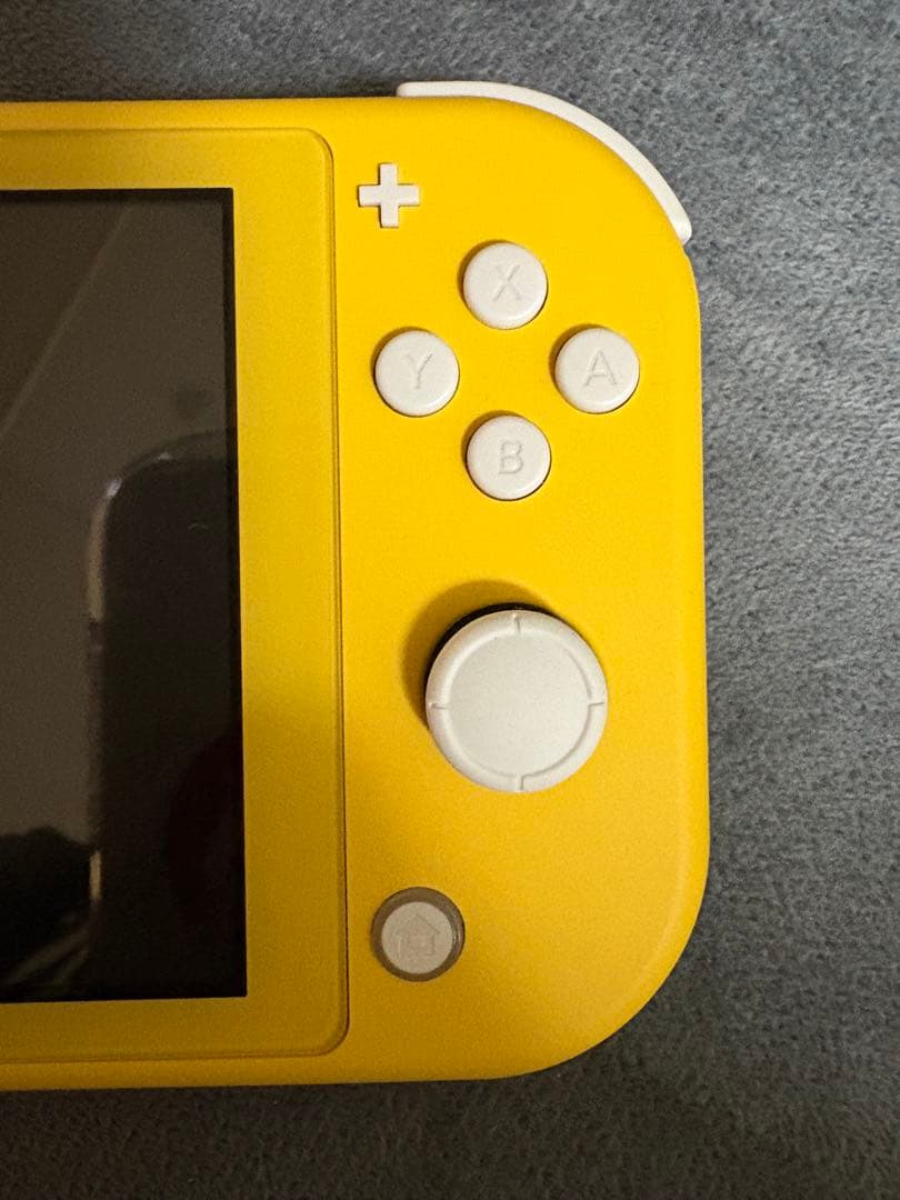 Nintendo Switch Lite 充電器・ケース・あつ森ソフト付き