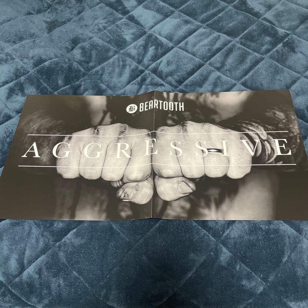 Beartooth Aggressive 12インチLP