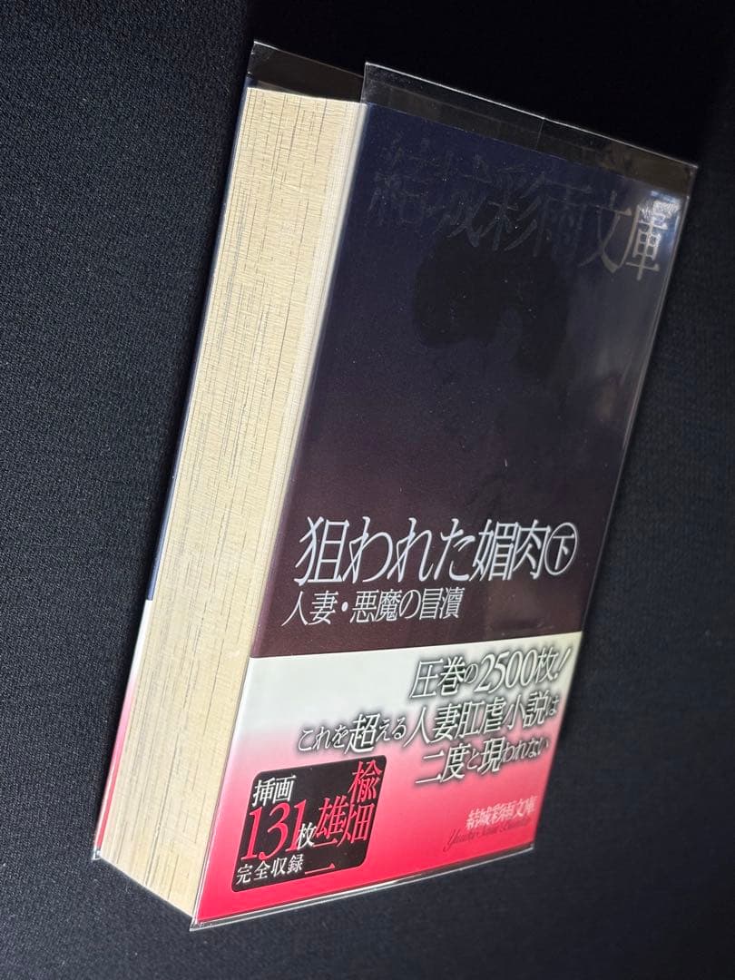 【絶版】SM秘小説82年5月～84年2月 狙われた媚肉② 結城彩雨(楡畑雄二)