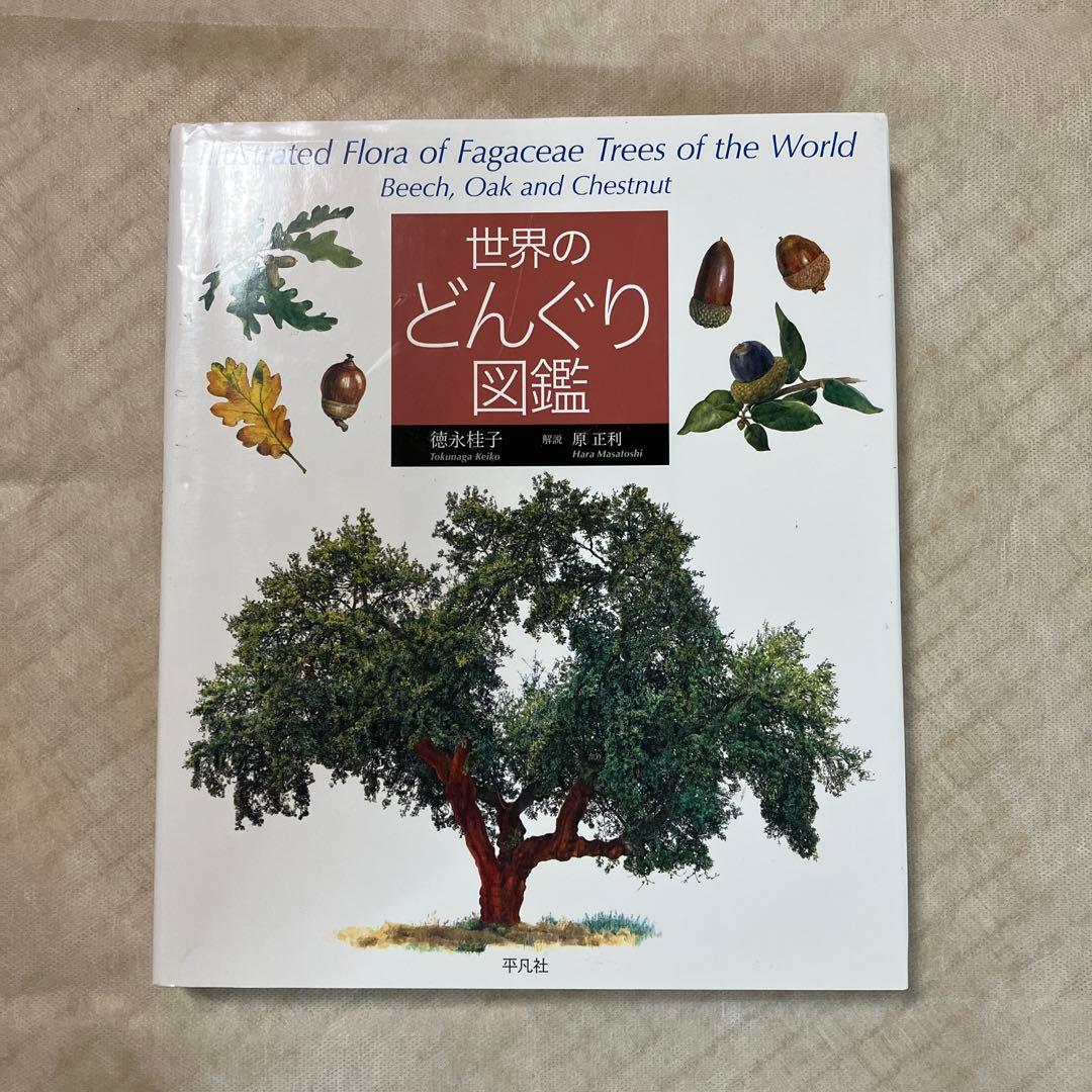 世界のどんぐり図鑑/学研の図鑑(増補改訂) 植物　2冊セット