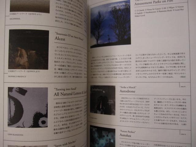 シューゲイザー・ディスク・ガイド　黒田隆憲　shoegazer