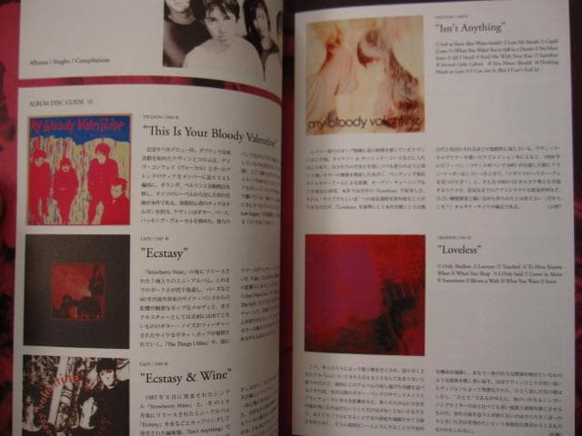 シューゲイザー・ディスク・ガイド　黒田隆憲　shoegazer