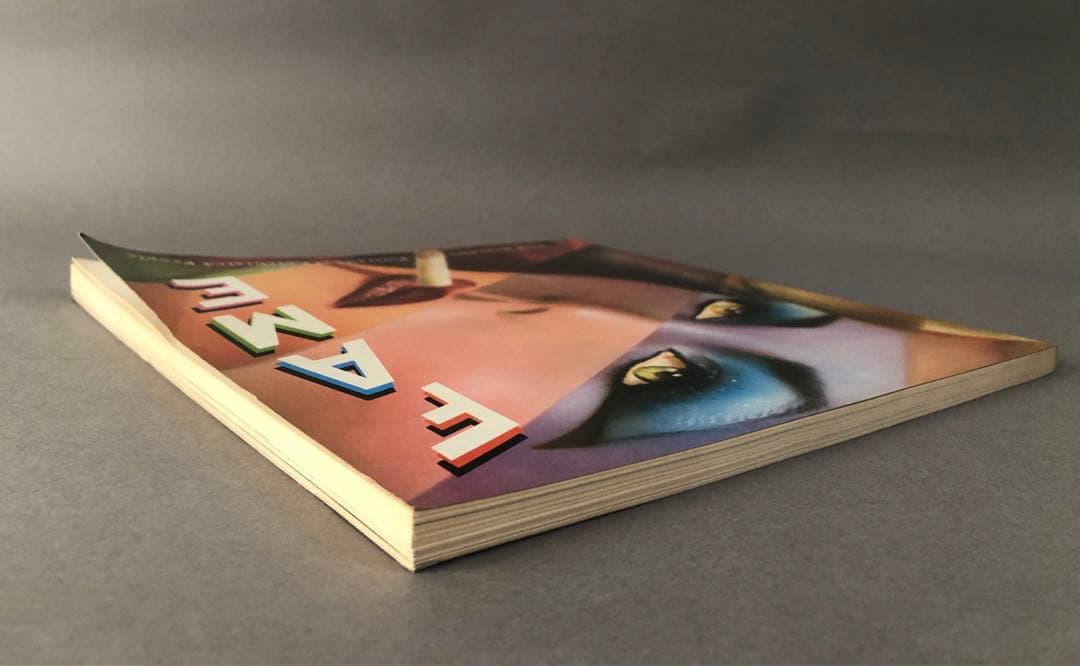 洋書有名人イラスト画集　FAME
