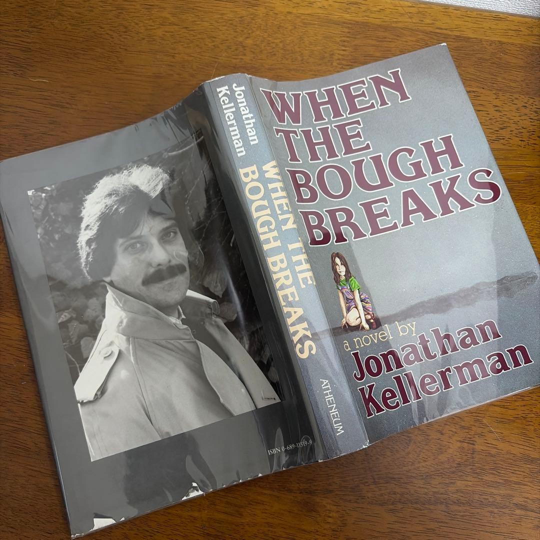 洋書 When the Bough Breaks 1st Edition 1985