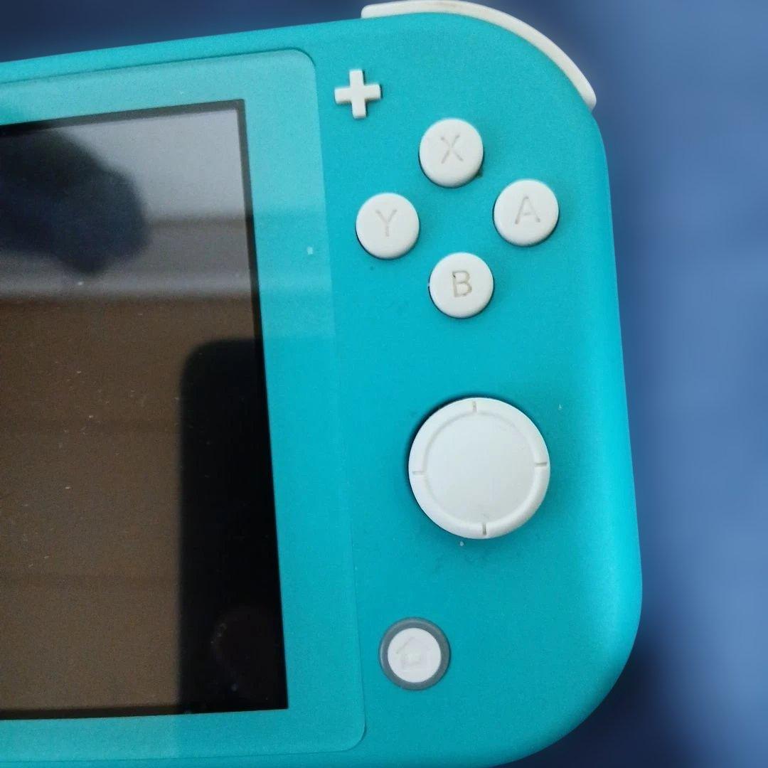 動作品　スイッチケース付き　箱無し 充電器付属