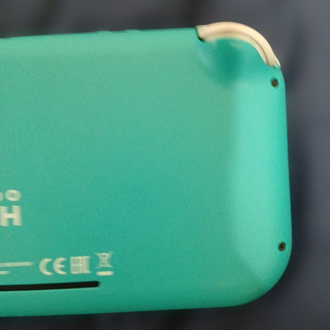 動作品　スイッチケース付き　箱無し 充電器付属