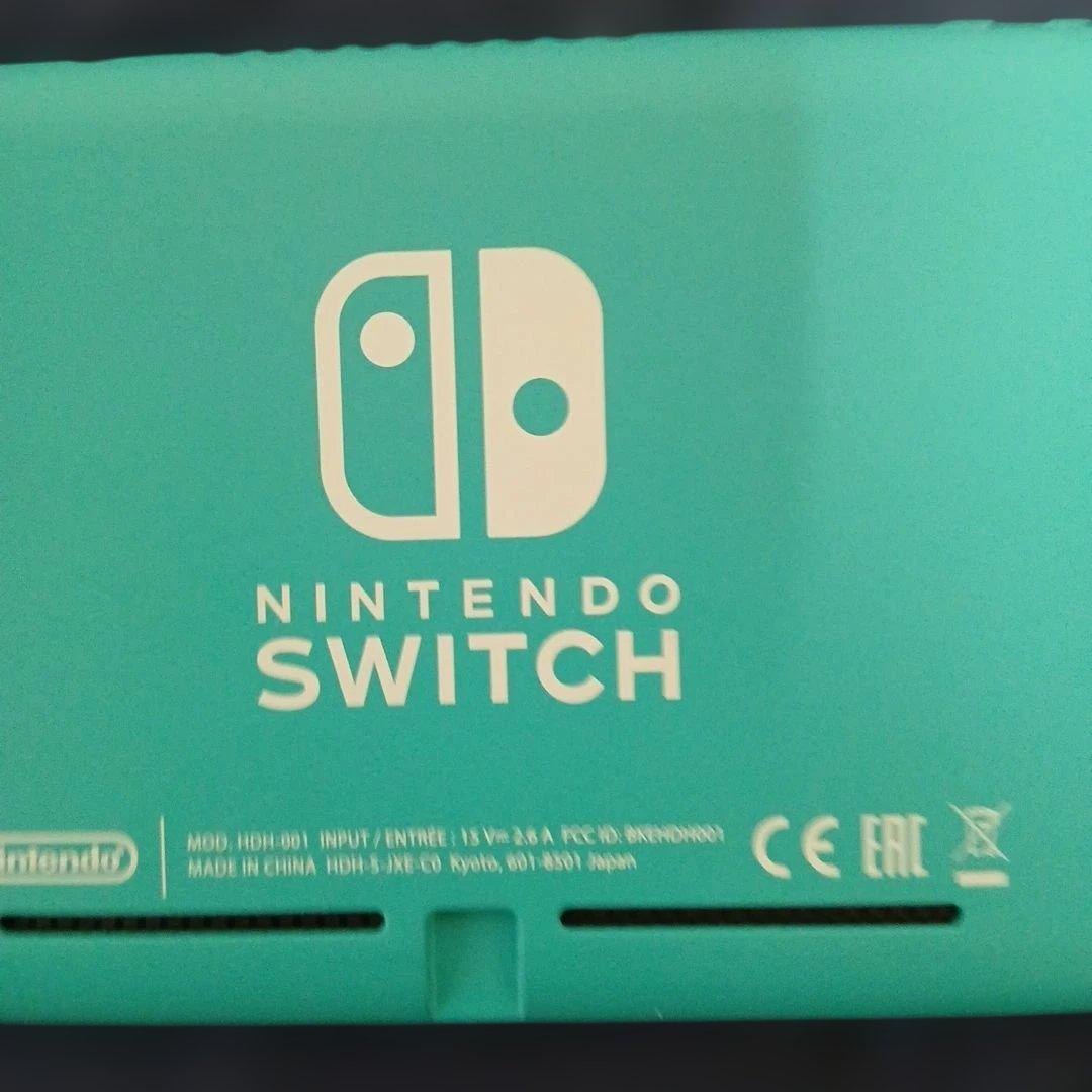 動作品　スイッチケース付き　箱無し 充電器付属