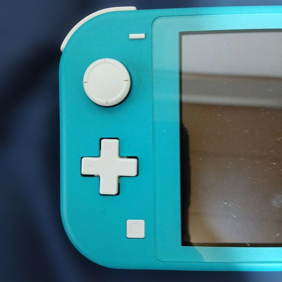 動作品　スイッチケース付き　箱無し 充電器付属
