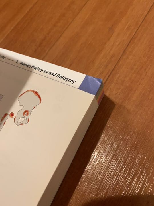 【バラ売り可】オステオパシー・カイロプラクティック関連書籍20冊セット