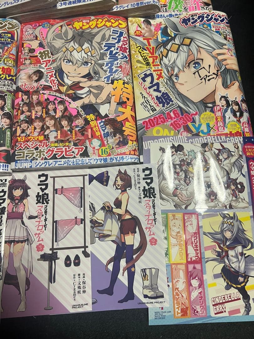 【新品・未使用品・シュリンク付】　ウマ娘シンデレラグレイ　別カバーVer