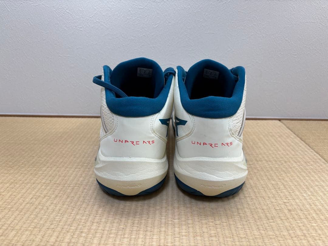 ASICS　アンプレアルス３　 ワイド　28.5cm
