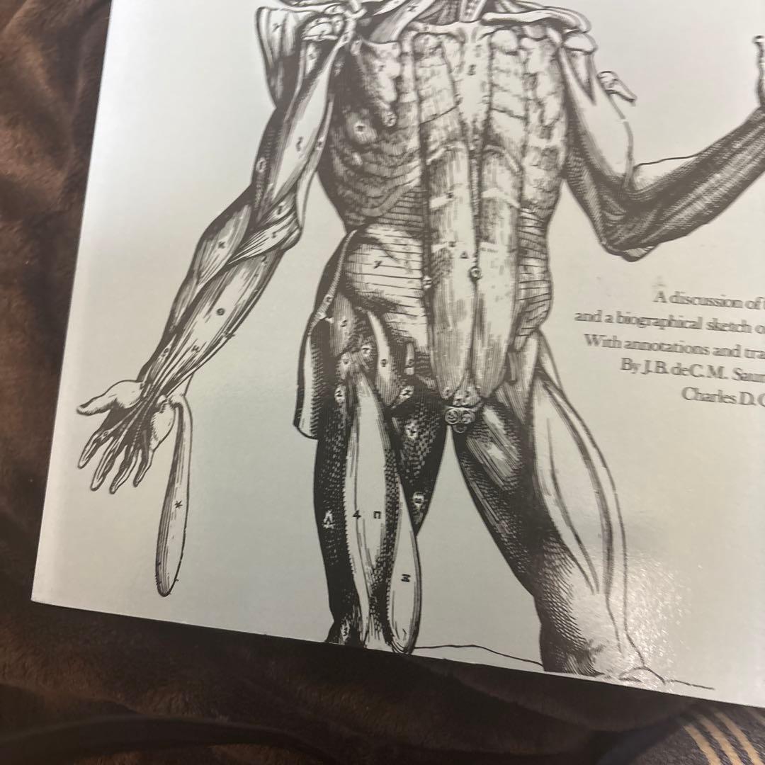 ANDREAS VESALIUS 解剖学イラスト