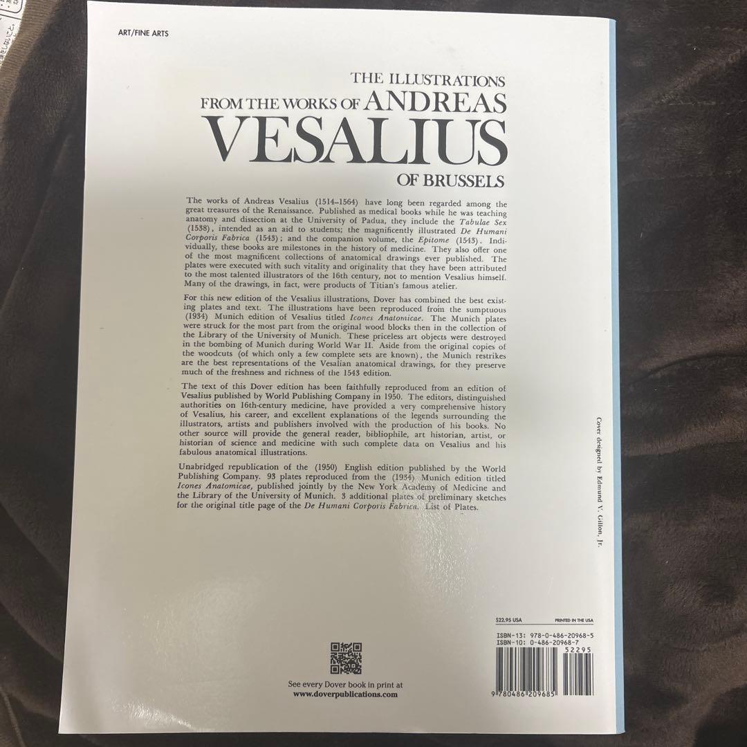 ANDREAS VESALIUS 解剖学イラスト