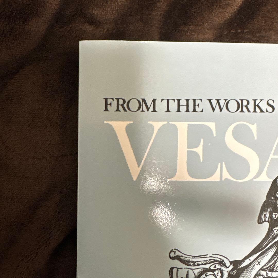 ANDREAS VESALIUS 解剖学イラスト
