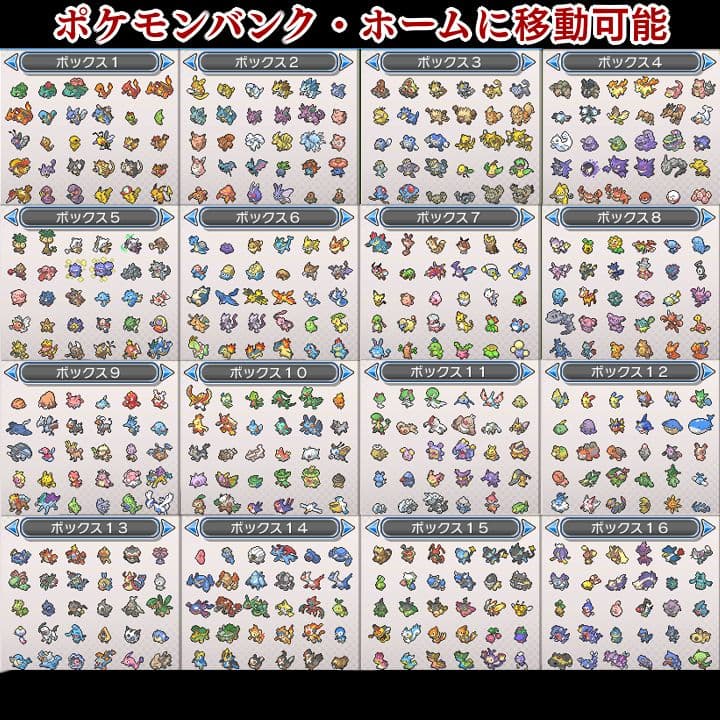 ポケットモンスター　ウルトラムーン　【ウルトラサンムーン】ポケモン　3DS　09