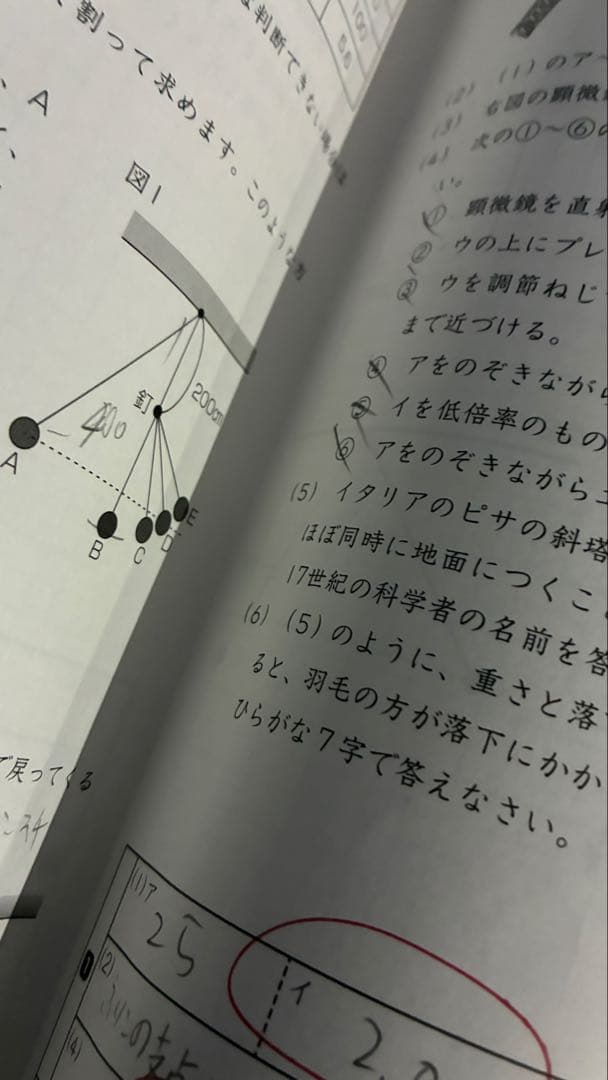 サピックス　6年　理科　通常テキスト　年間フルセット