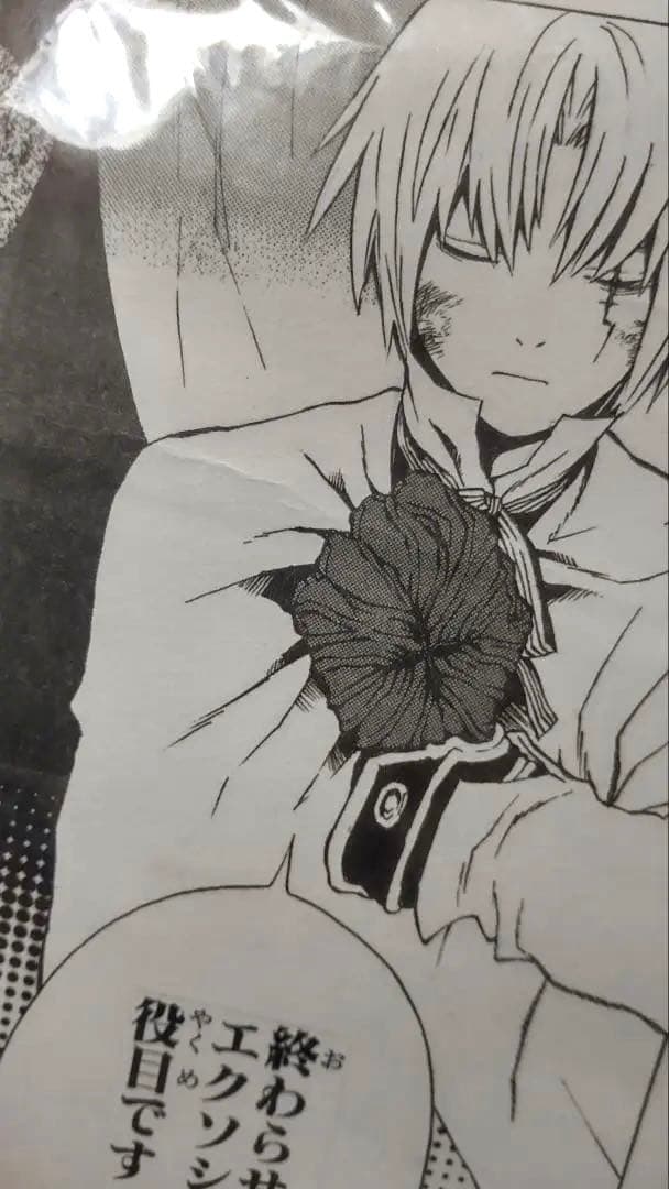 D.Gray-man 複製原稿　非売品　Dグレ　星野桂