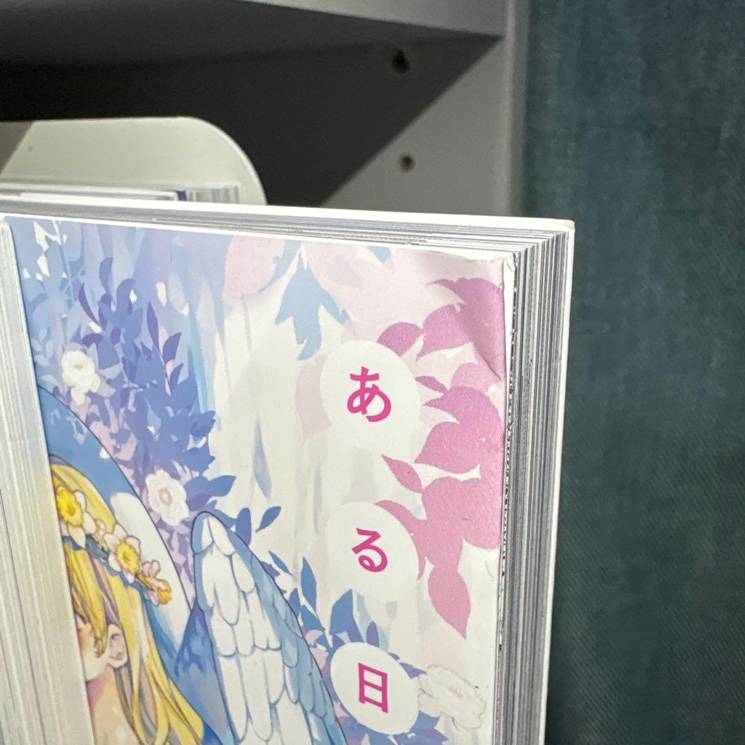 ある日、姫君になってしまった件について1〜10巻