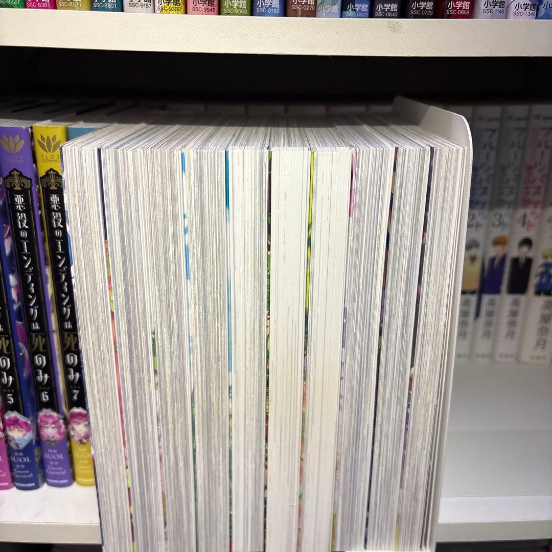 ある日、姫君になってしまった件について1〜10巻