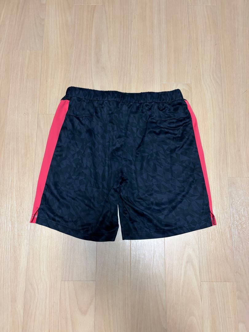 日本代表モデル YONEX ゲームパンツ O