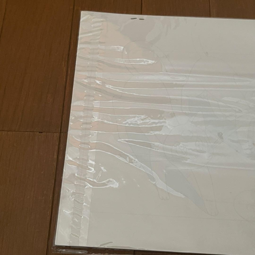 美少女戦士セーラームーン 設定資料集 動画集 セル画 未開封品